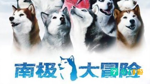 南极大冒险高清下载