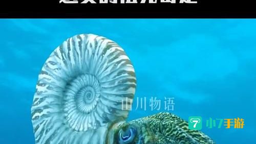 海上霸主