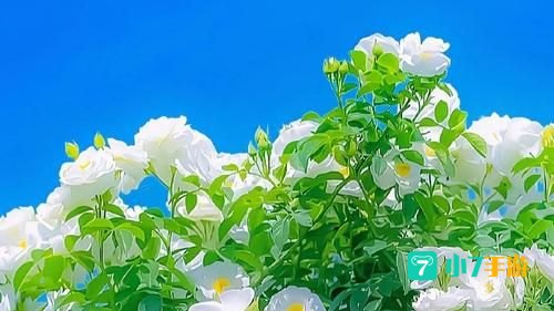 微信状态背景图
