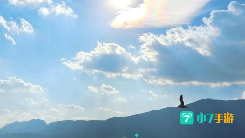 鸟翔碧空