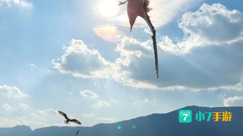 鸟翔碧空