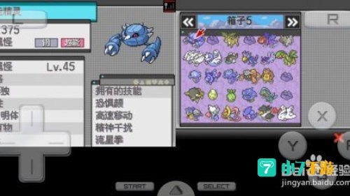 口袋精灵2进化图